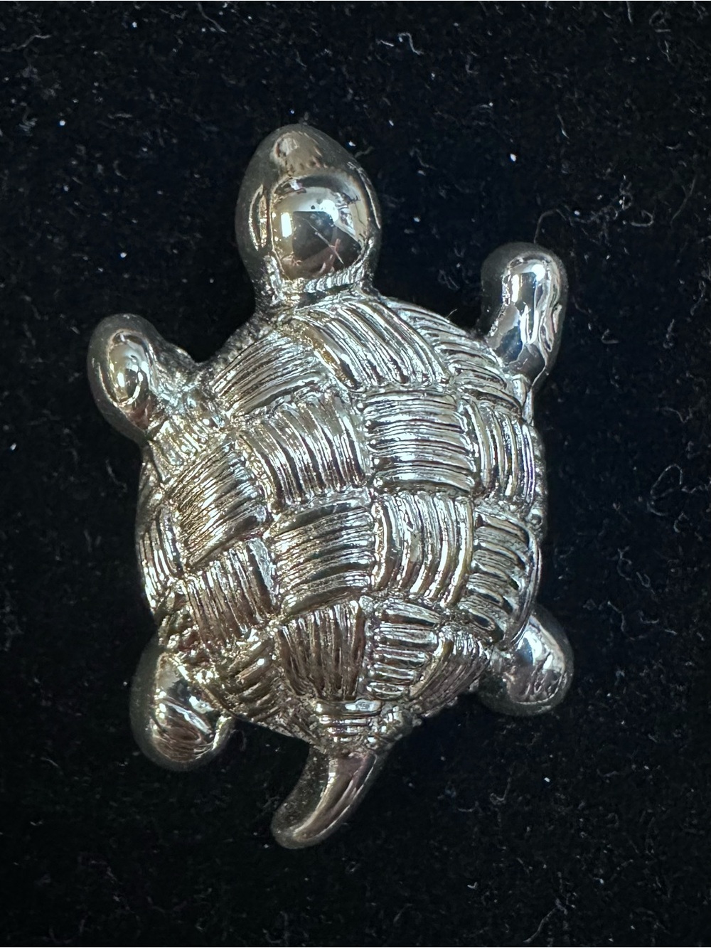 Napier Silver-tone Turtle Brooch with Textured Shell